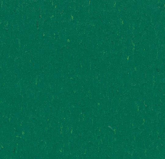 Piano Safety Flooring Gallery Picture 0