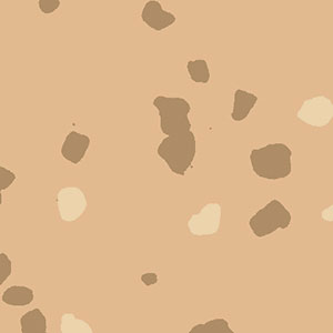 Noraplan Eco Safety Flooring Gallery Picture 0