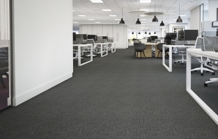 The Floor Hub Palladium Carpet Tiles
